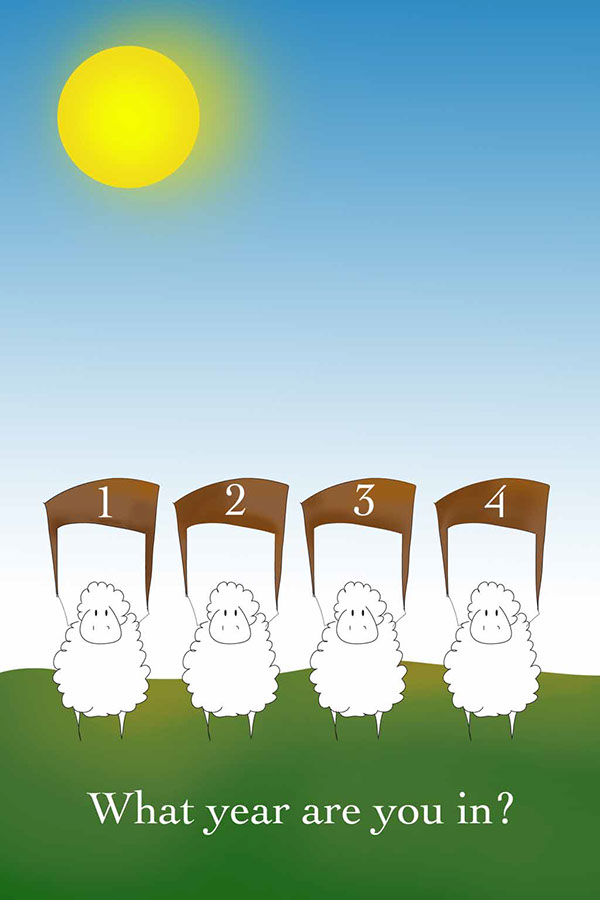 app  alarm  clock  sheep