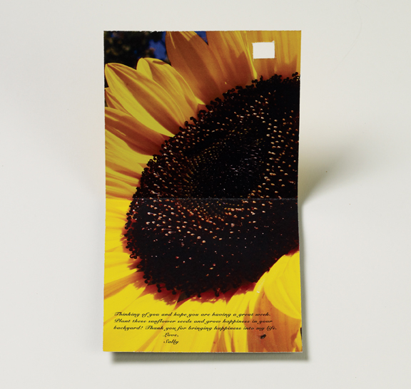 grace notes logo catalog cards bookmark magnet sunflower peacock snow beach card holder