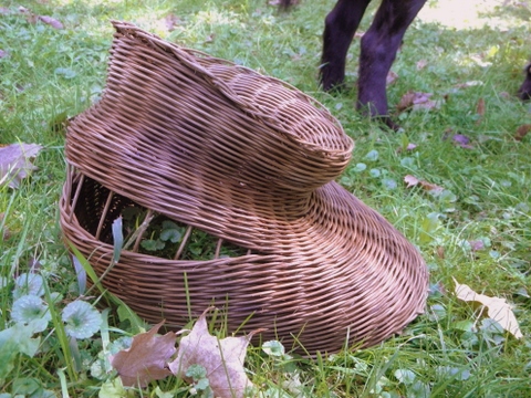 basket basketry weaving Woven reed