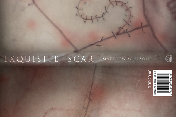 scar cut skin Stiches exquisite book cover