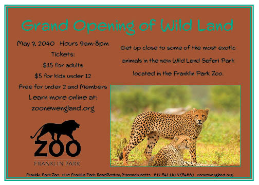 animals Cheetahs zoo invitation