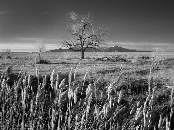 desert b&w black and white infrared utah Landscape photo west desert basin and range