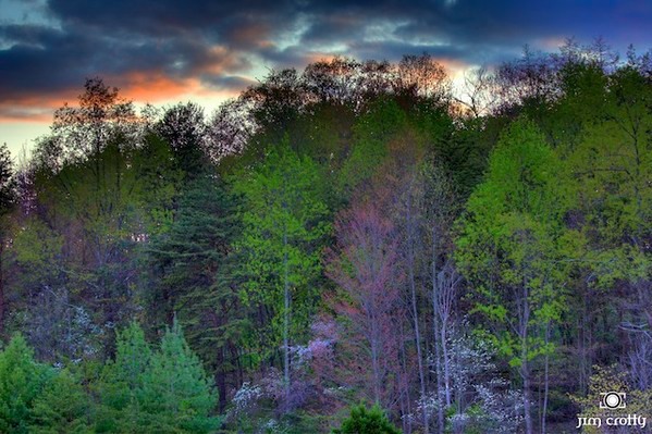 ohio photographer Nature Landscape fine art jim crotty Dayton Ohio photographer green spring beauty calm photos Renewal peaceful hocking hills Clifton Gorge