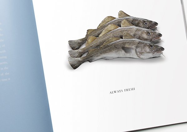 fish identity brand Packaging Website Stationery cards