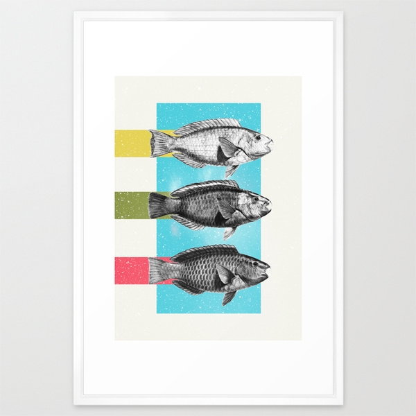 collage Digital Collage fish Ocean sea minimal minimalist colorful clever Space  fishes color contemporary art print art