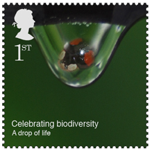 stamps stamp biodiversity Postage Rsa