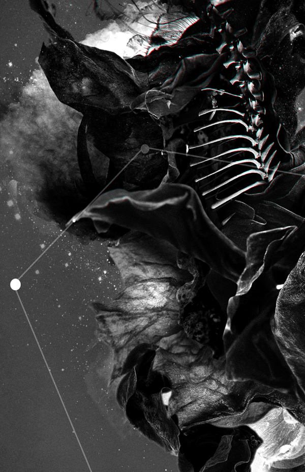 zodiac signs sagittarius THE ARCHER dark photoshop tarot arts black and white