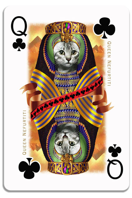 cats Cat cards