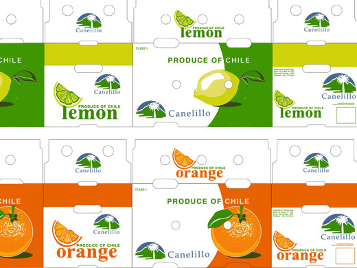 Packaging grafica publicidad diseño gráfico visual identity export exportacion fruits Food  graphic design 
