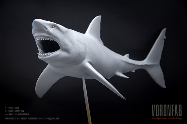 Great White shark model