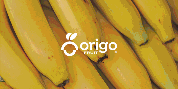 Origo Fruits