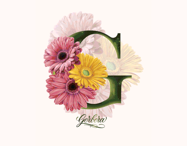 Flower Alphabet