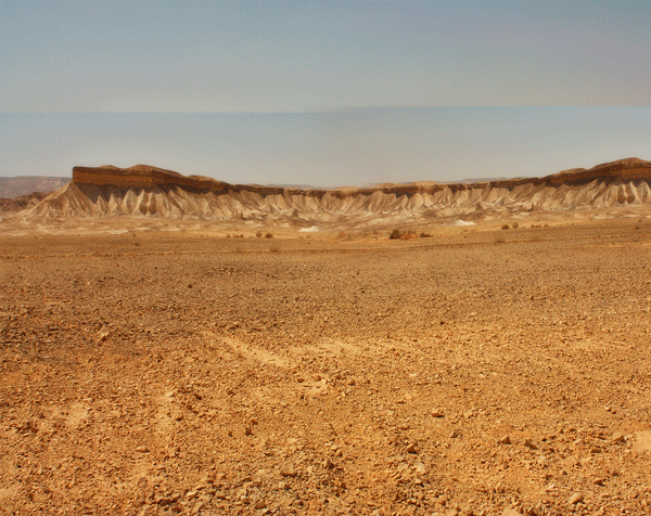 Desert Scorpion - CGI + Retouching
