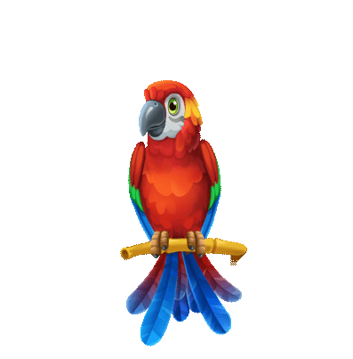 Animation of Parrot for Family Zoo: The Story
