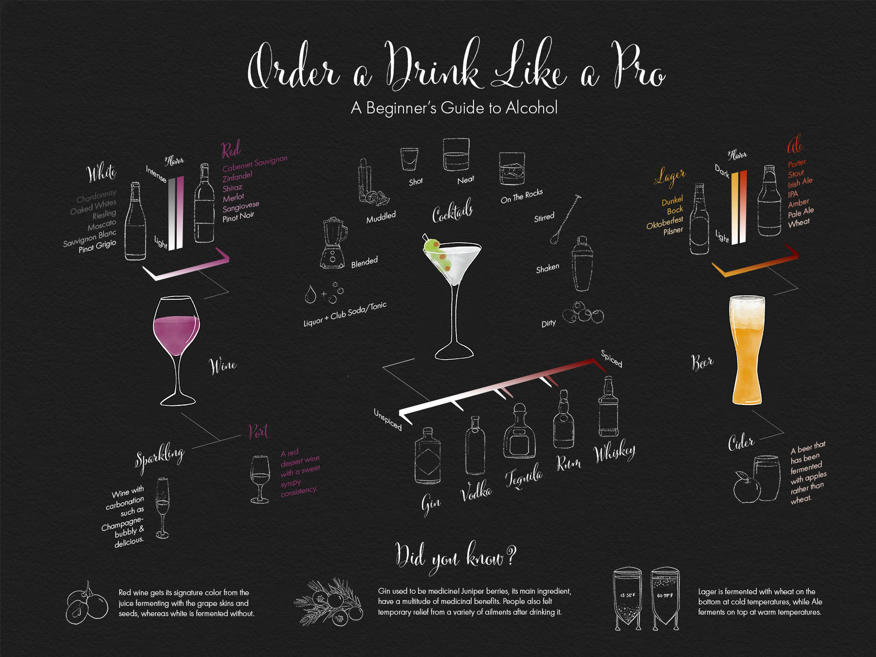 Order a drink. Винная инфографика. Инфографика вино. Инфографика винного клуба. Инфографика по вину.