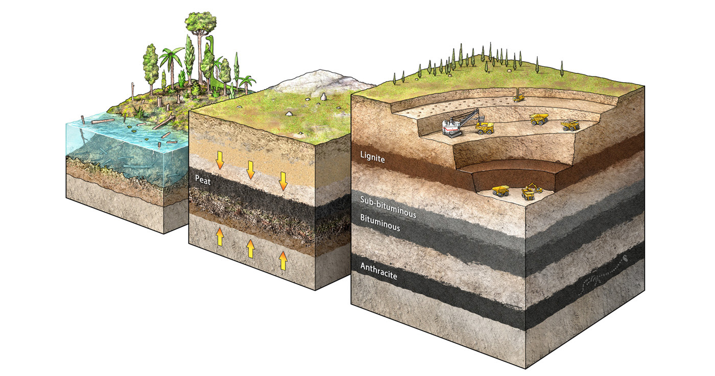 Образование залежей каменного угля. Угольный пласт в разрезе. Пласты грунта в разрезе. Геология слои почвы. Пласт (Геология).