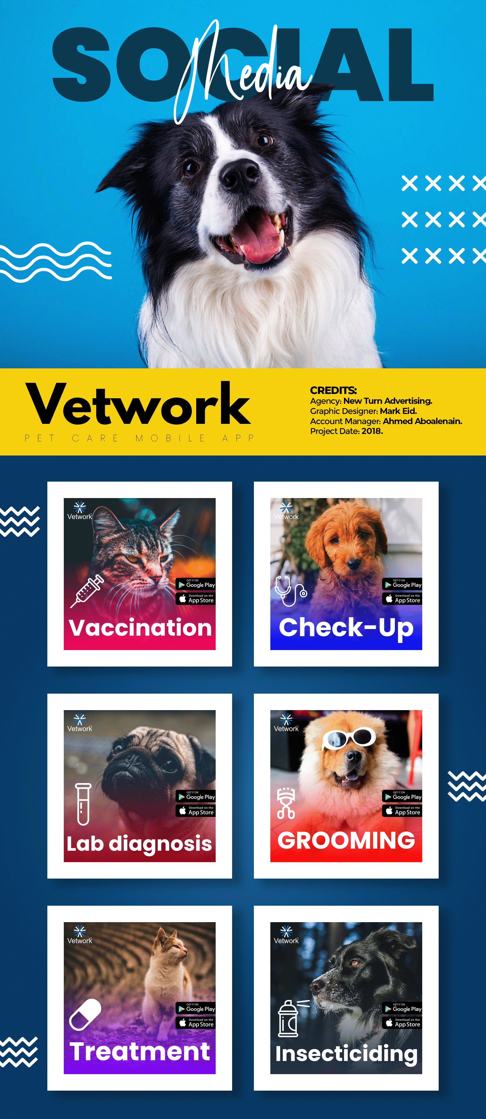 vetwork-veterinary-social-media-designs-on-behance