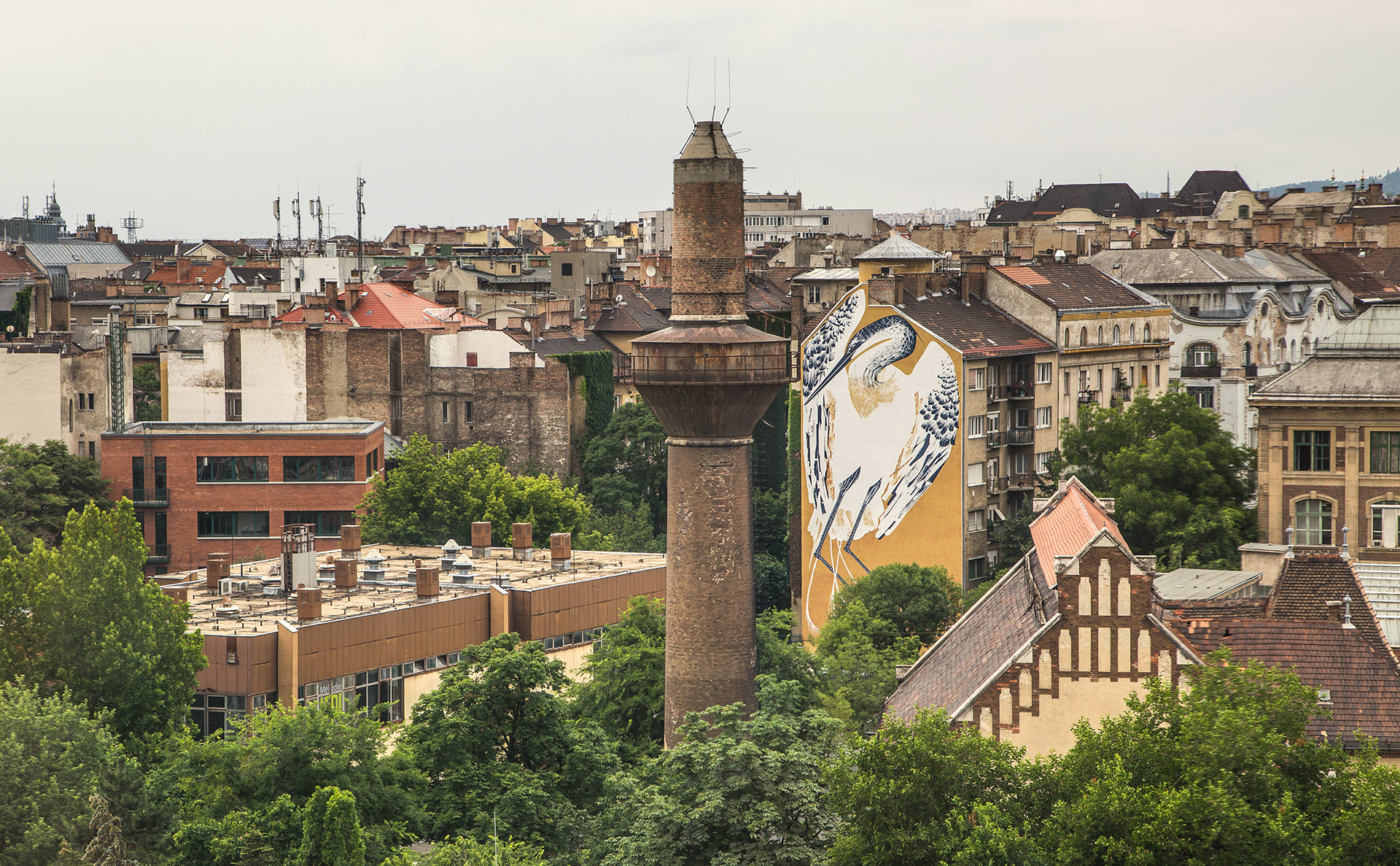 Bird mural in Budapest with Colorful City