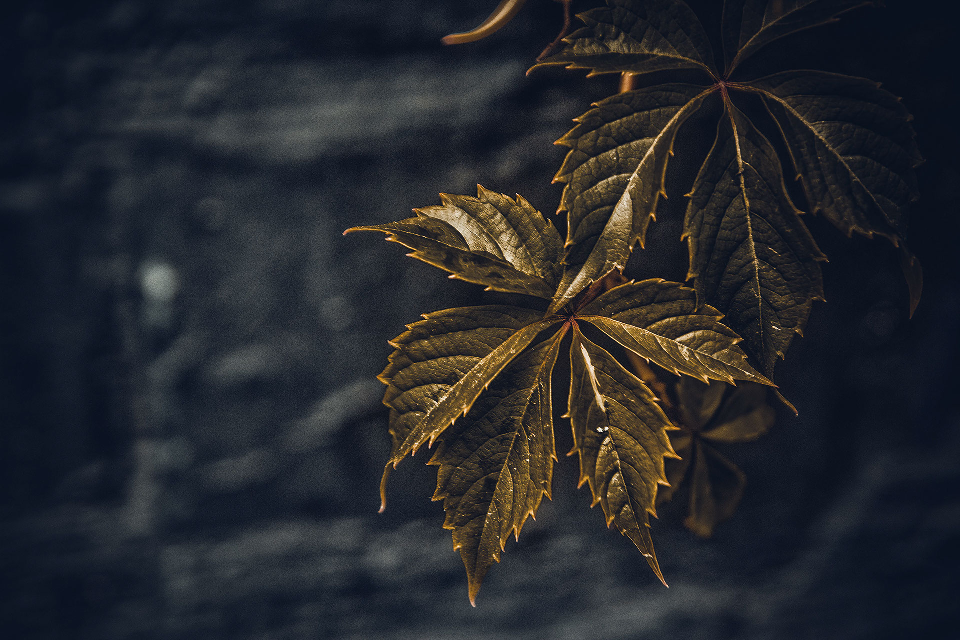 Colors of autumn on Behance