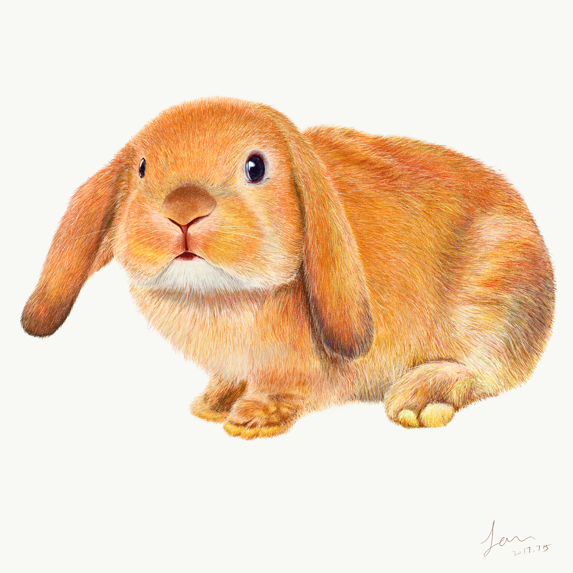 Drawings To Paint & Colour Peter Rabbit - Print Design 011