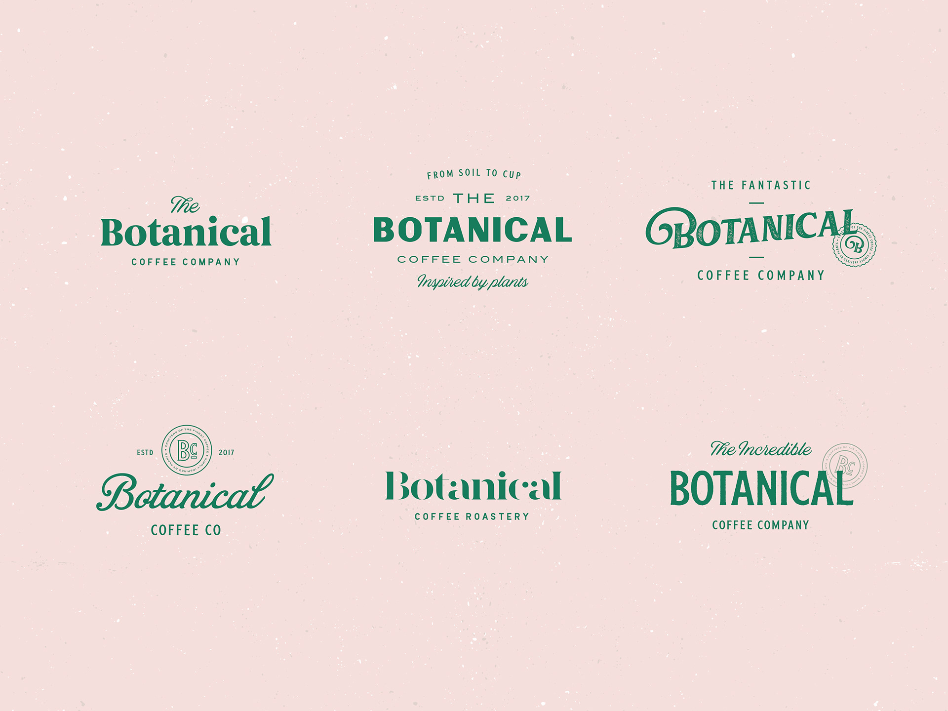 Botanical Coffee Co.