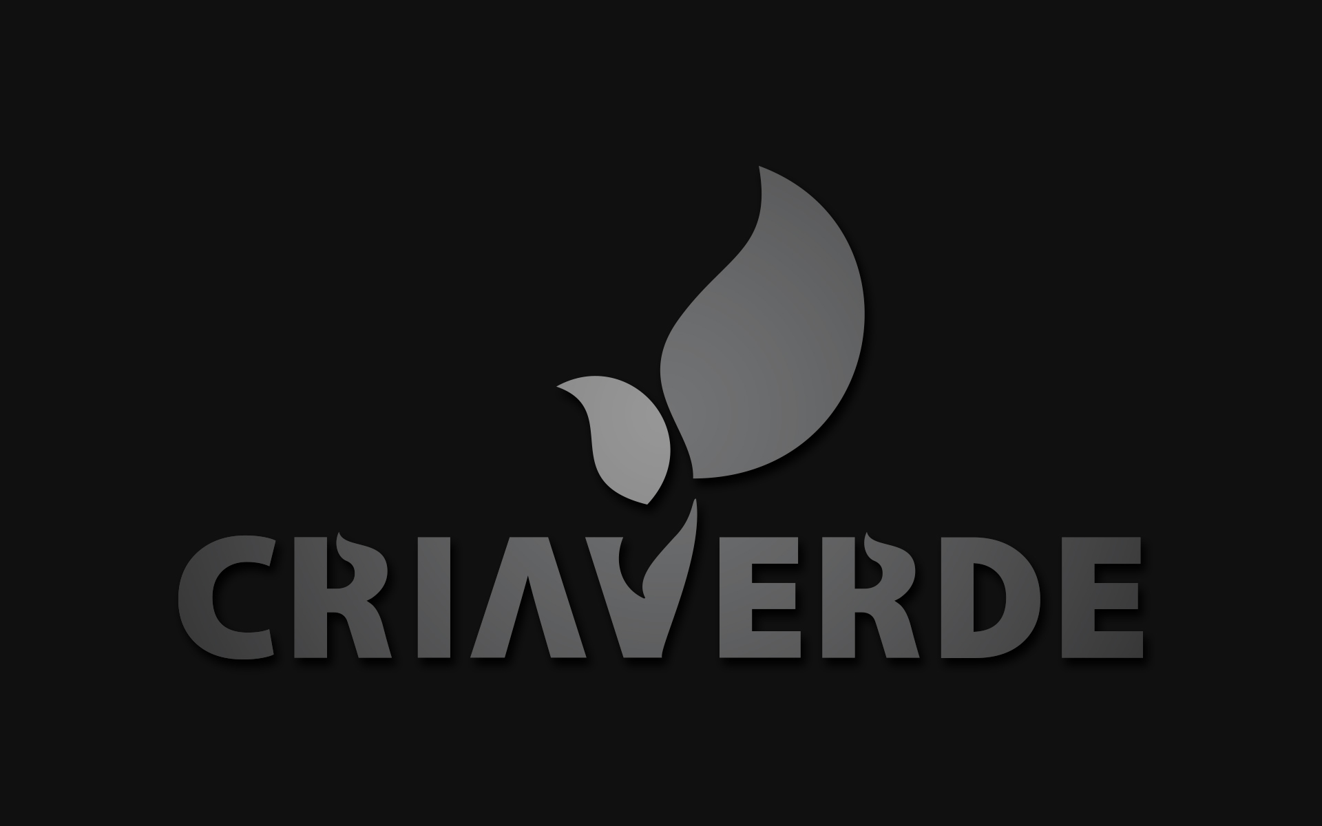 Teiky Studio Criaverde Logo Re Design Business Cards