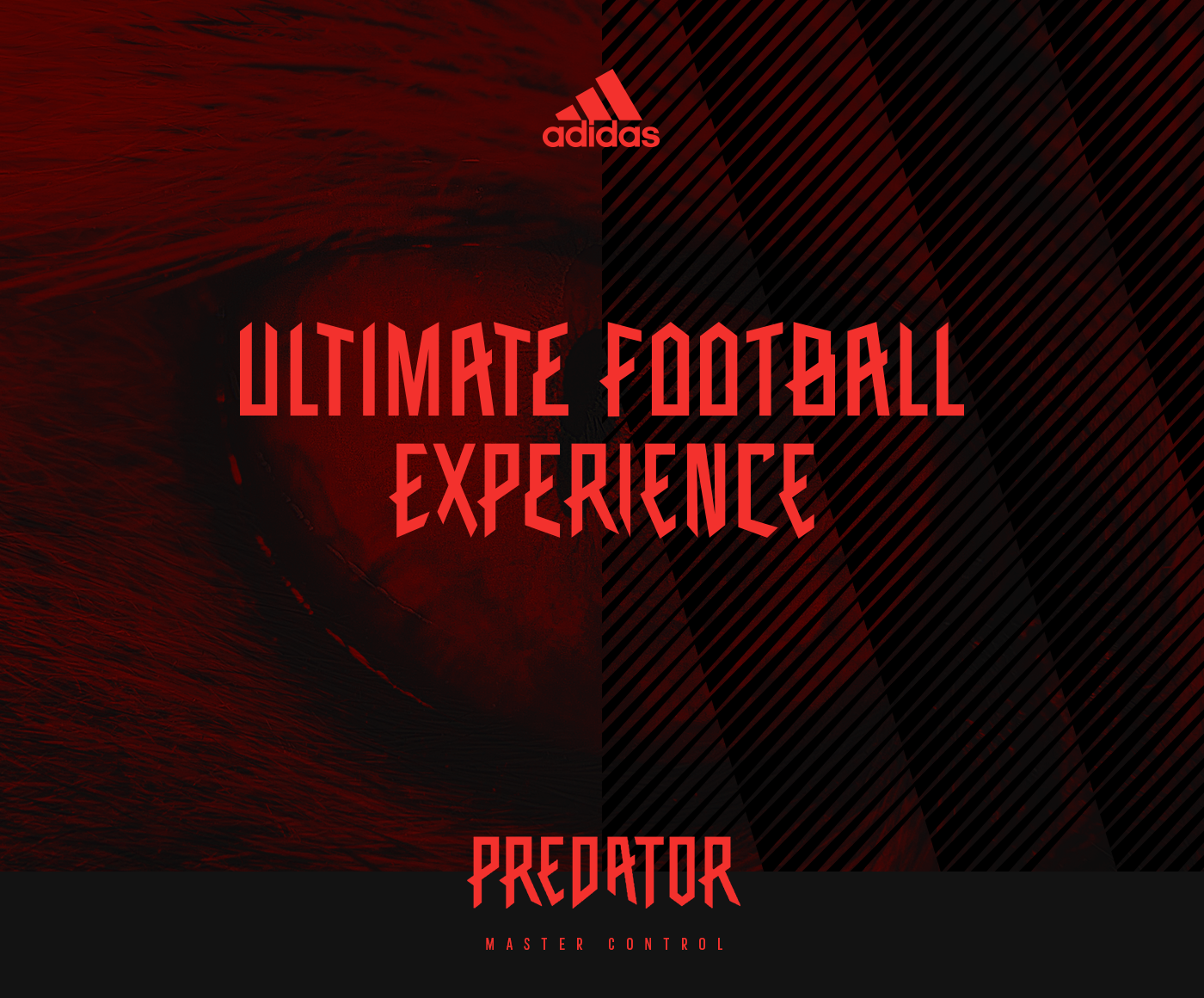 predator logo adidas