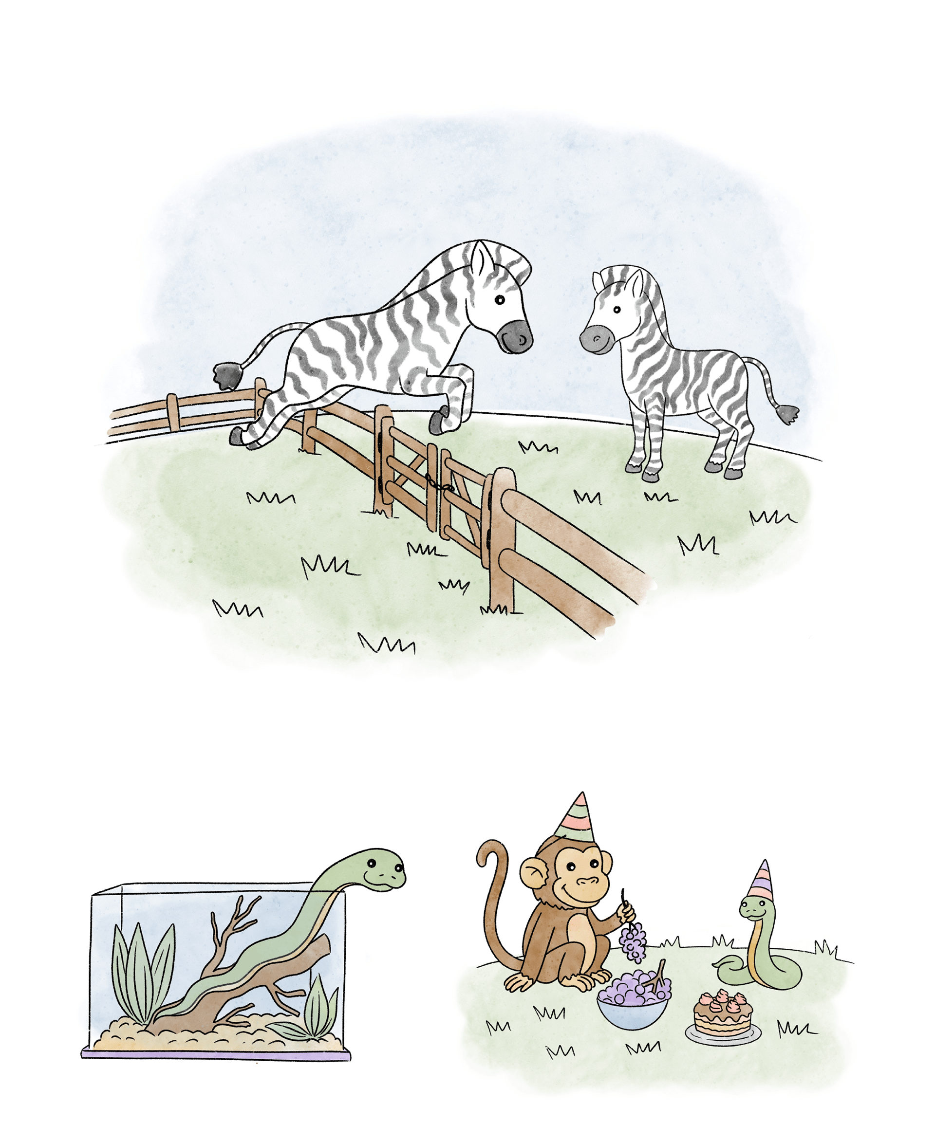 animals zoo, illustrations for the children book