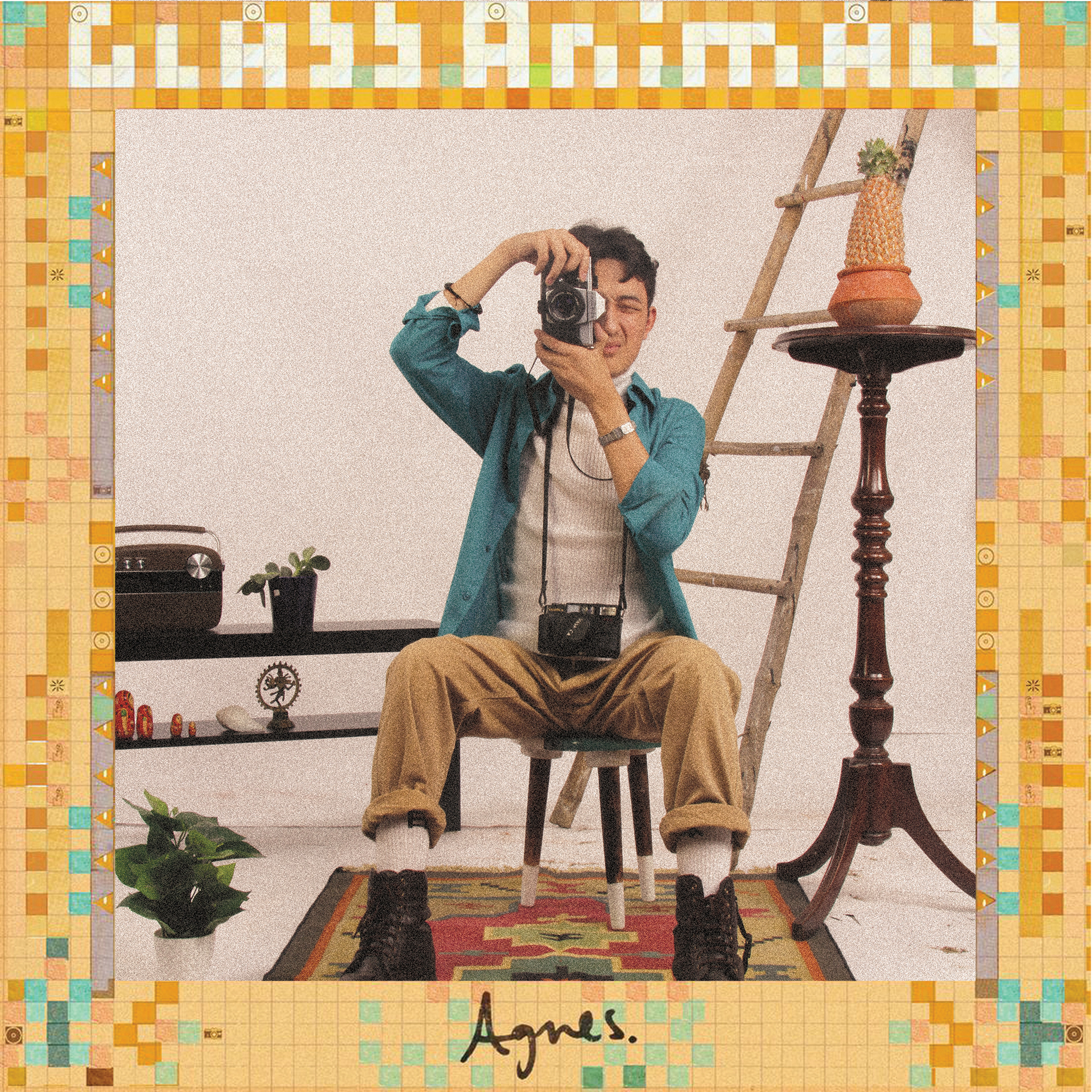 Glass Animals Album Shoot : Styling and Photography | Behance