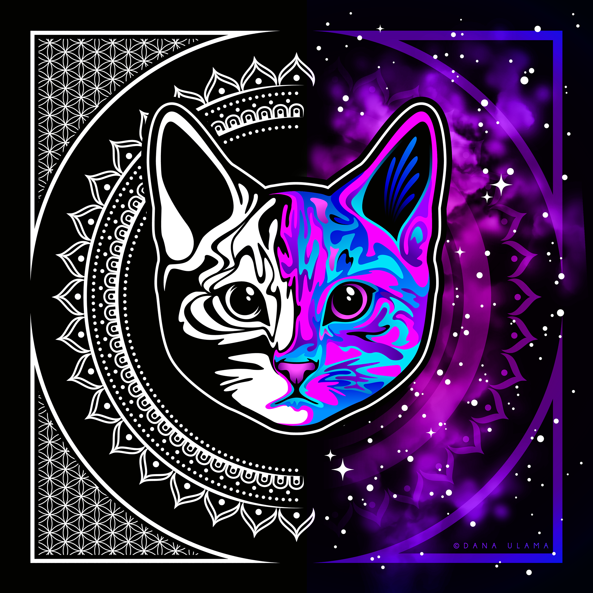 Cat kitten Space trippy psychedelic sacredgeometry galaxy pattern geometric...