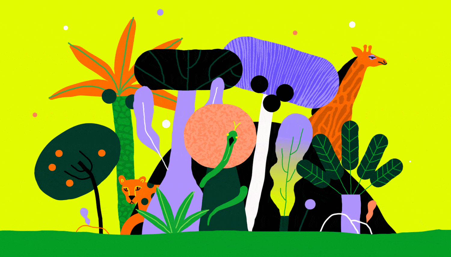 Jungle animation with colourful animals and plants