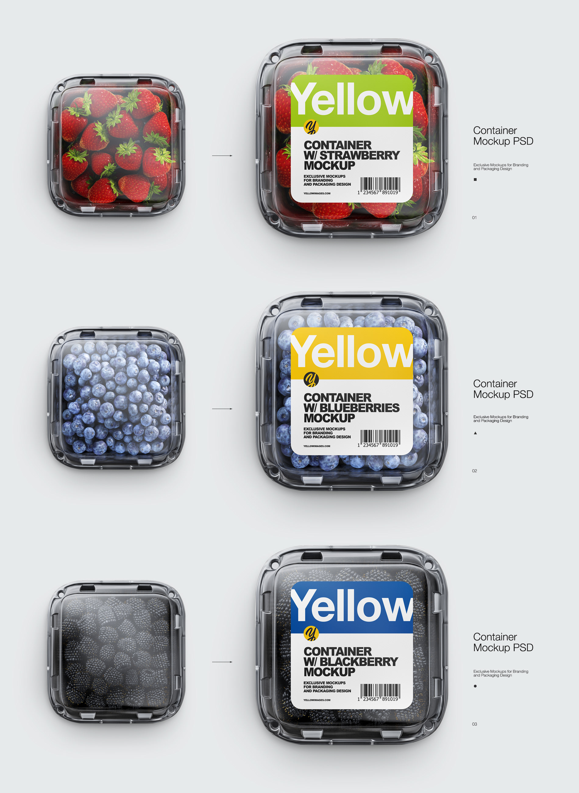 Download Containers Mockups Psd On Behance Yellowimages Mockups