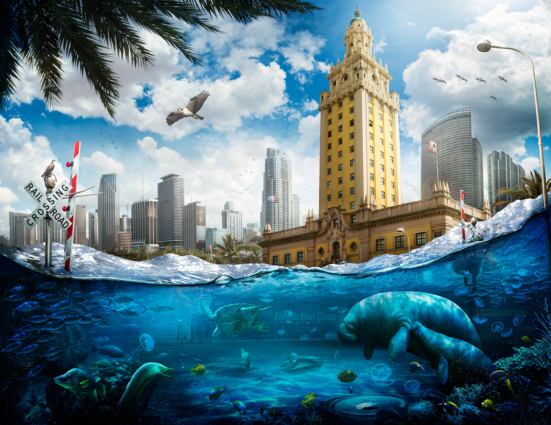 Floating World, a Photoshop project on the impacts of climate change