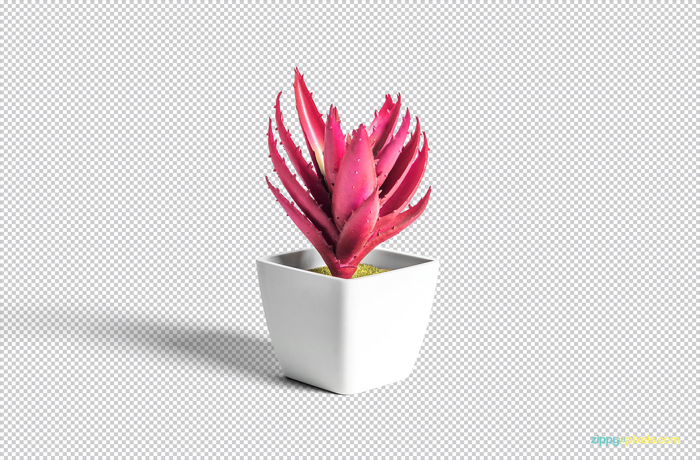 Download Free Plant Pot Mockup On Behance PSD Mockup Templates
