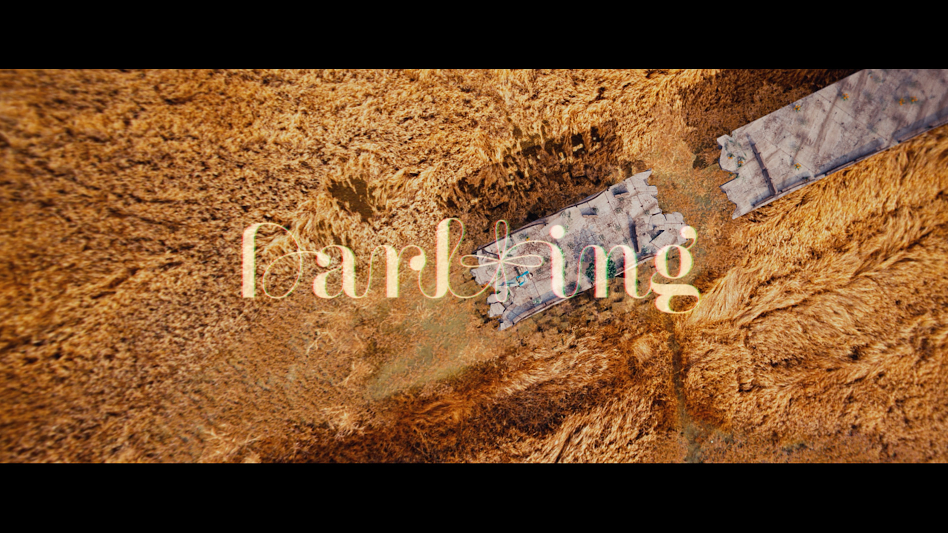 SEVENTEEN "DARL+ING" MV CG/VFX