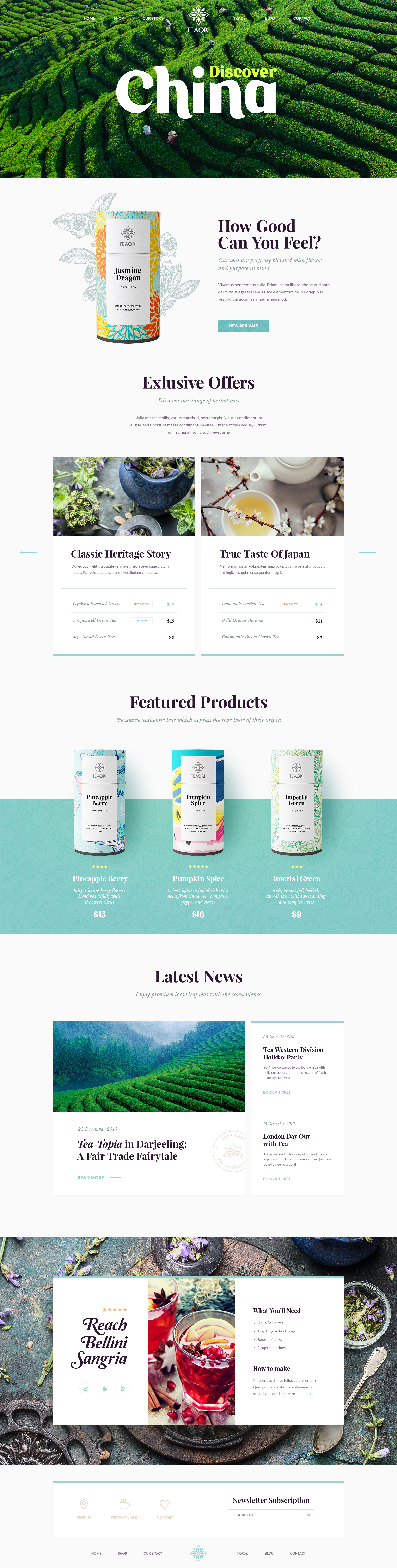 Web Design Layout Collection by Creative Mints