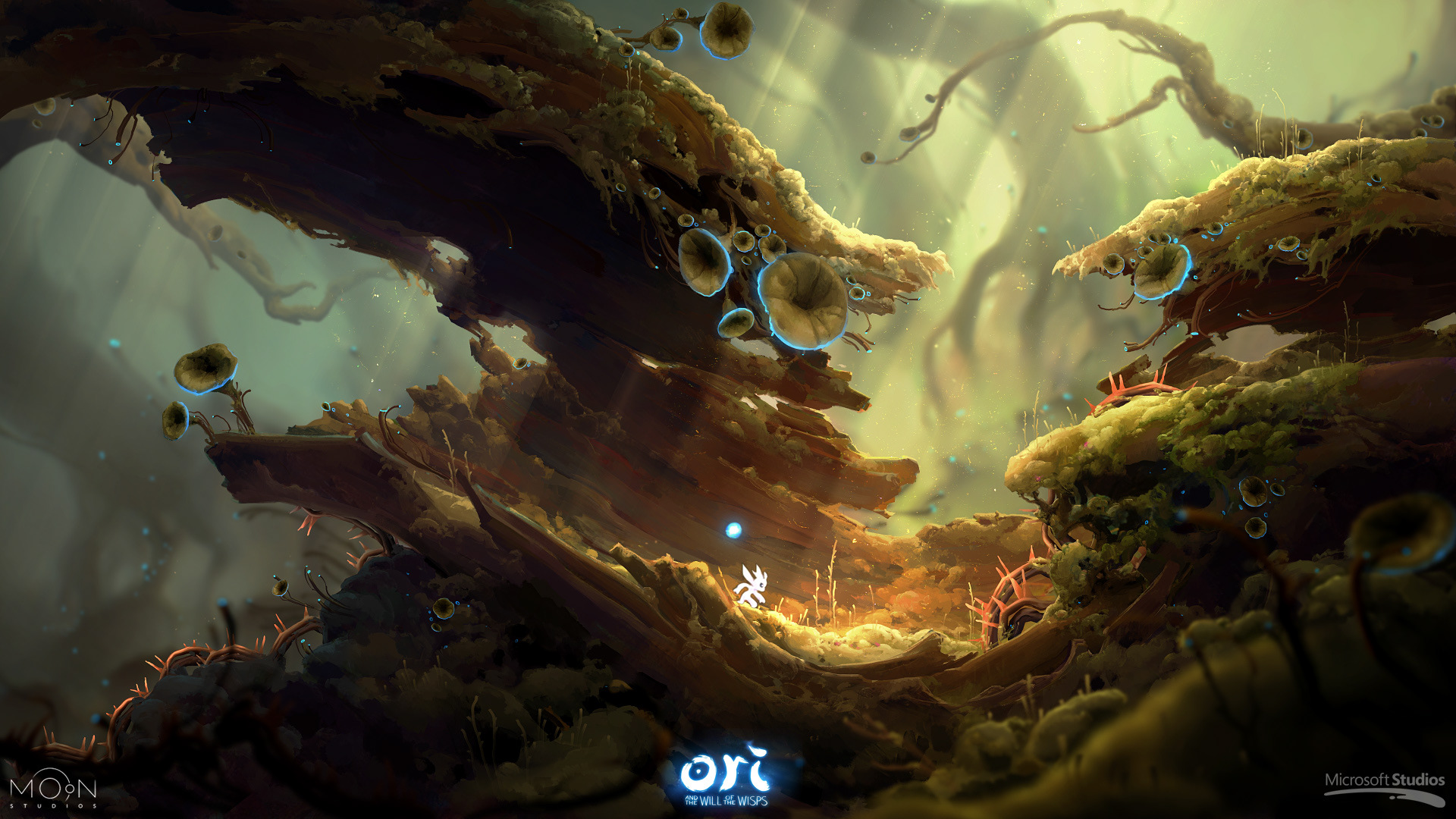 Ori and The Will Of The Wisps | Behance