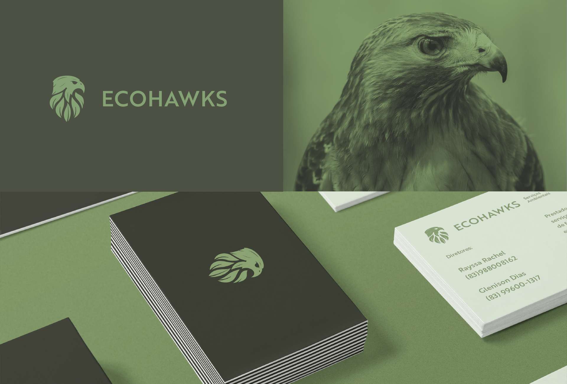 A imagem contém um logo verde com uma águia, uma imagem de uma águia e a marca em cartões de visita.