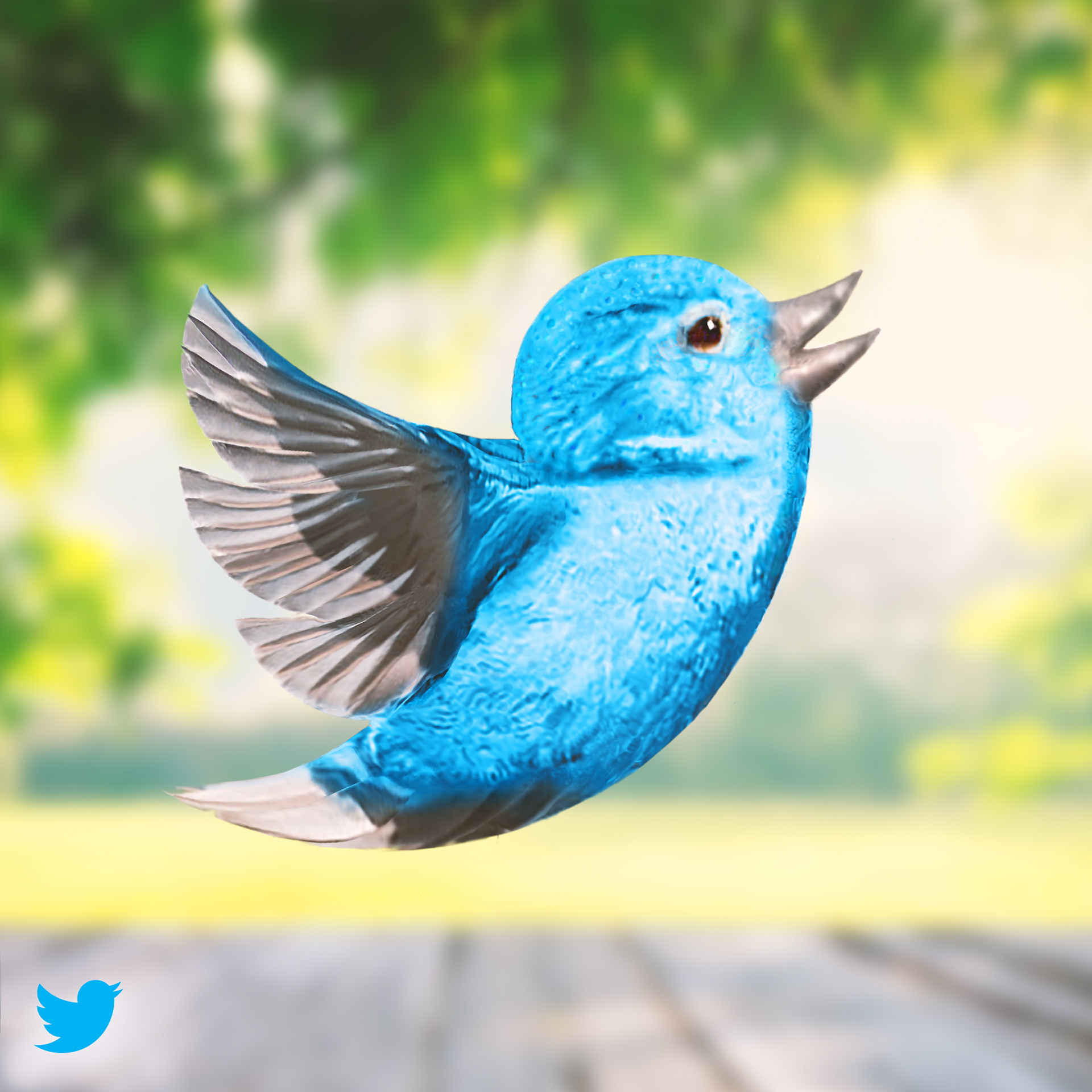 Real life" Twitter bird on Behance