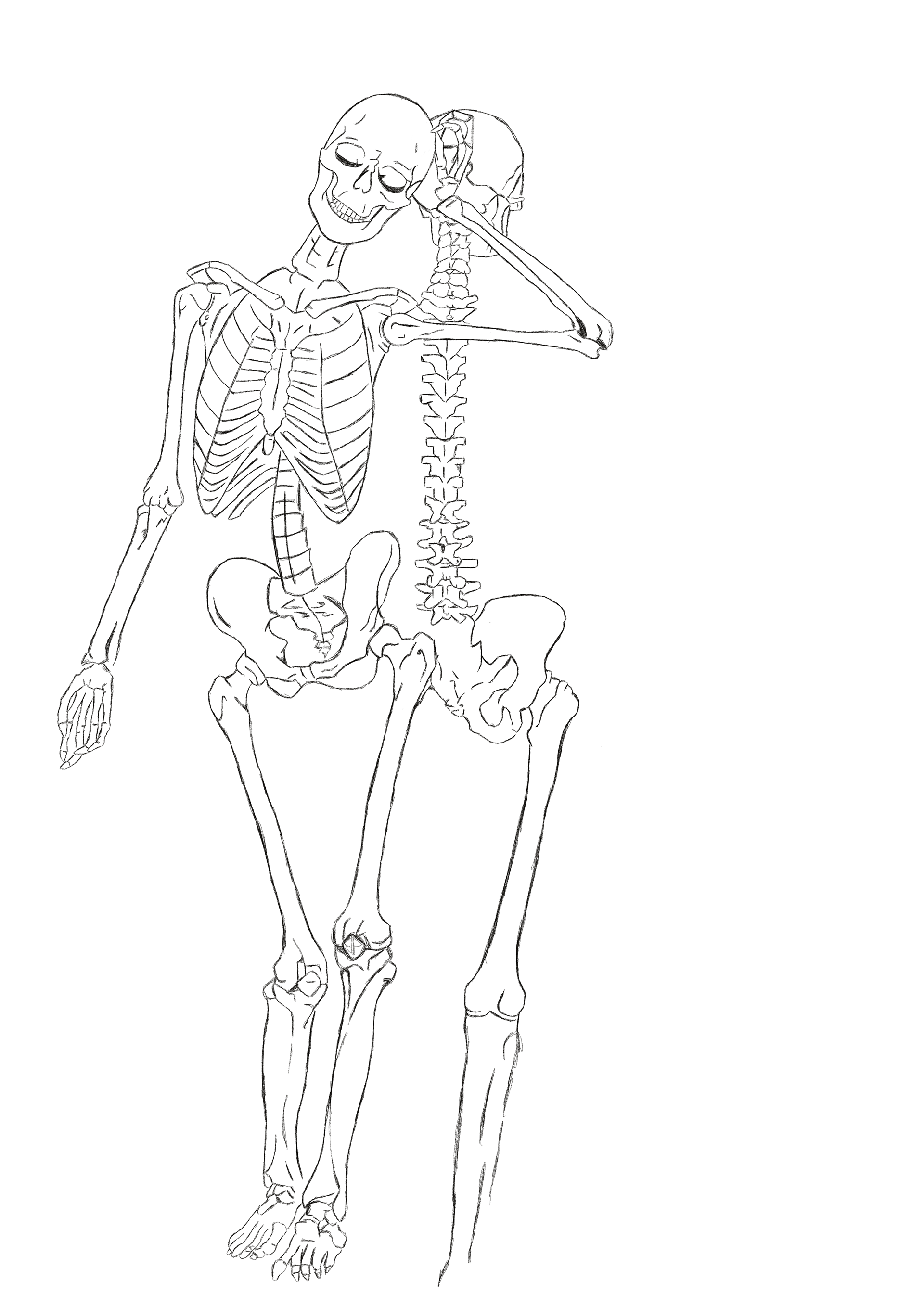Скелет человека. Скелет позы. Скелет набросок. Скелет рисунок. Как рисовать скелет