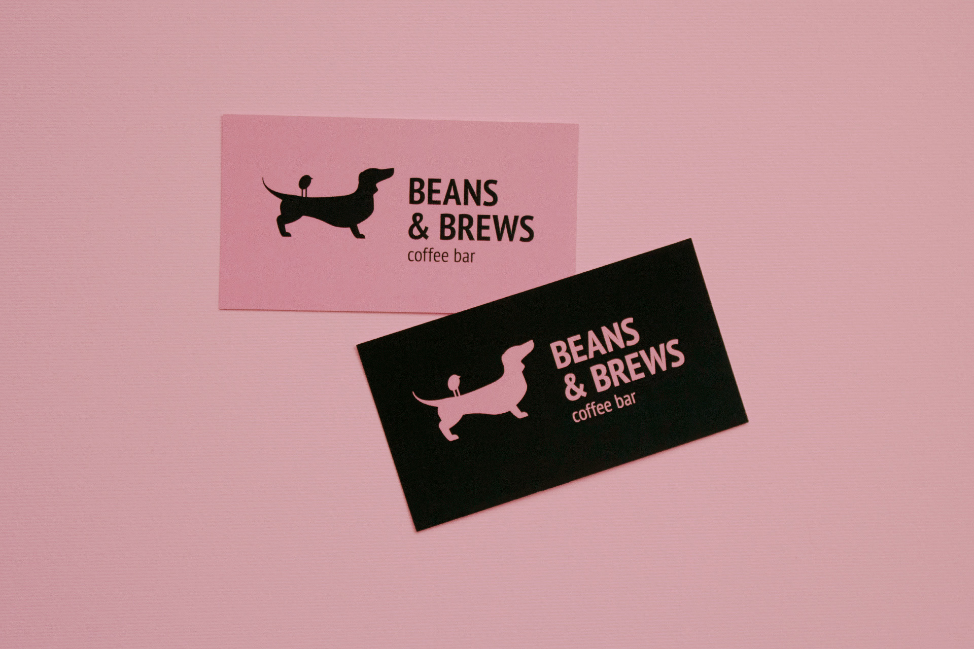 Beans & Brews Coffee Bar Branding By Canape Agency