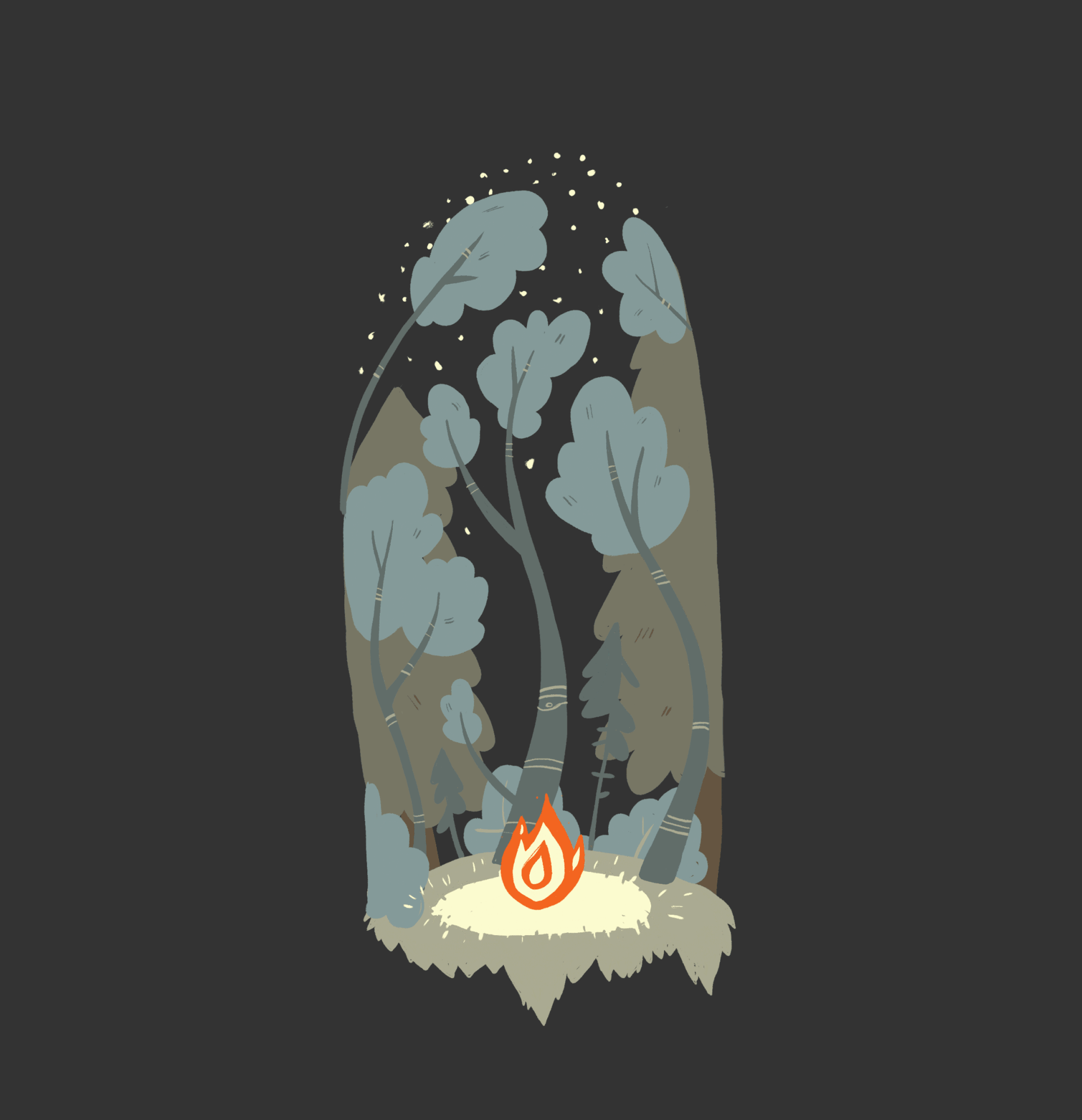 Forest Fire Test (Animated gif) on Behance