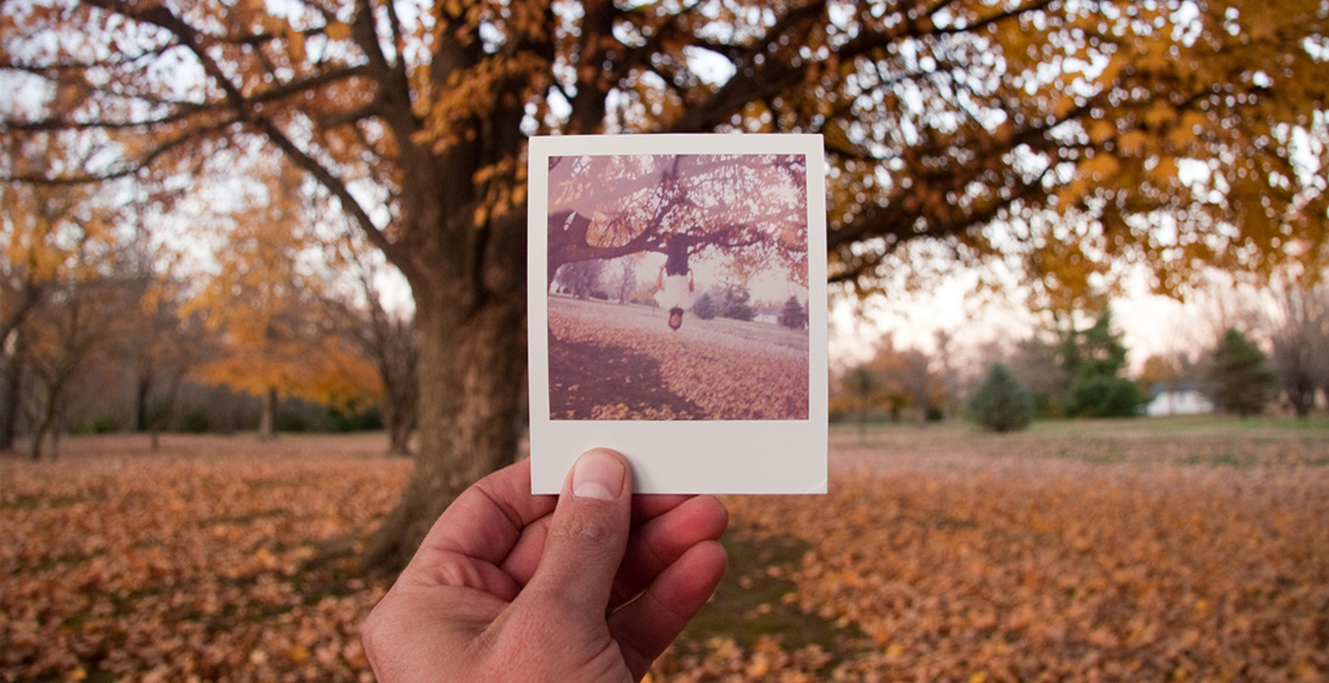 Фотоснимок. Снимки полароид. Полароидные фотокарточки. Фотокарточка в руке. Фотосессия с полароидом.