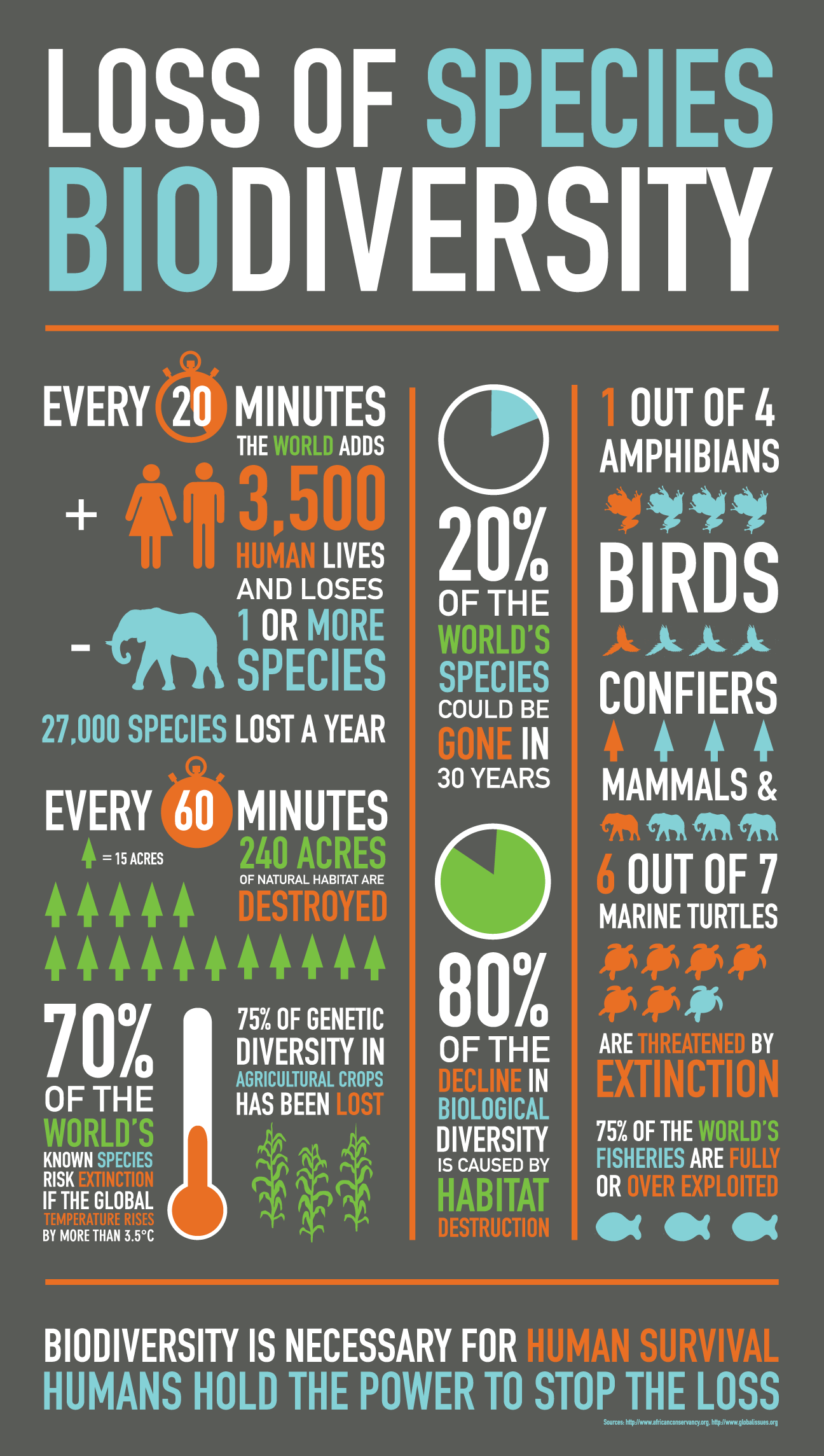 assignment on loss of biodiversity