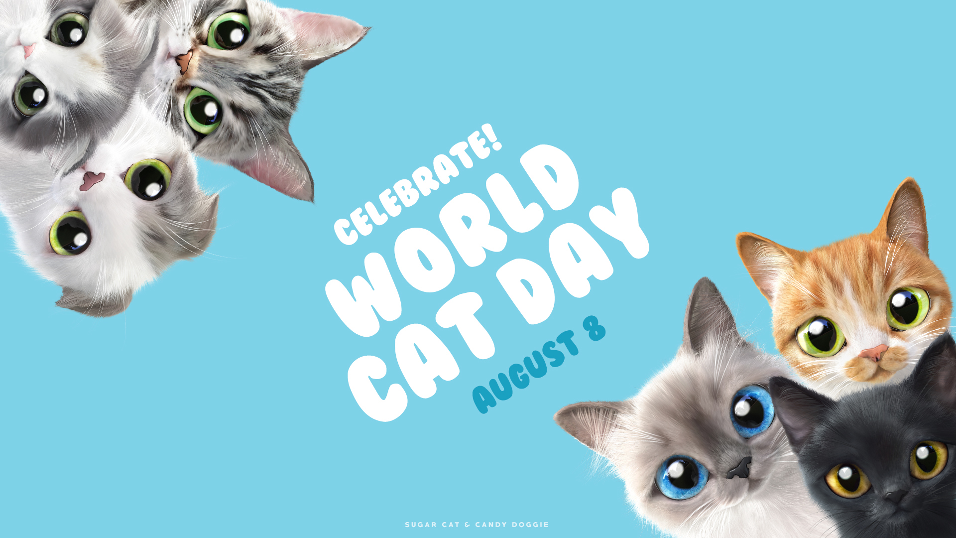 World Cat Day on Behance