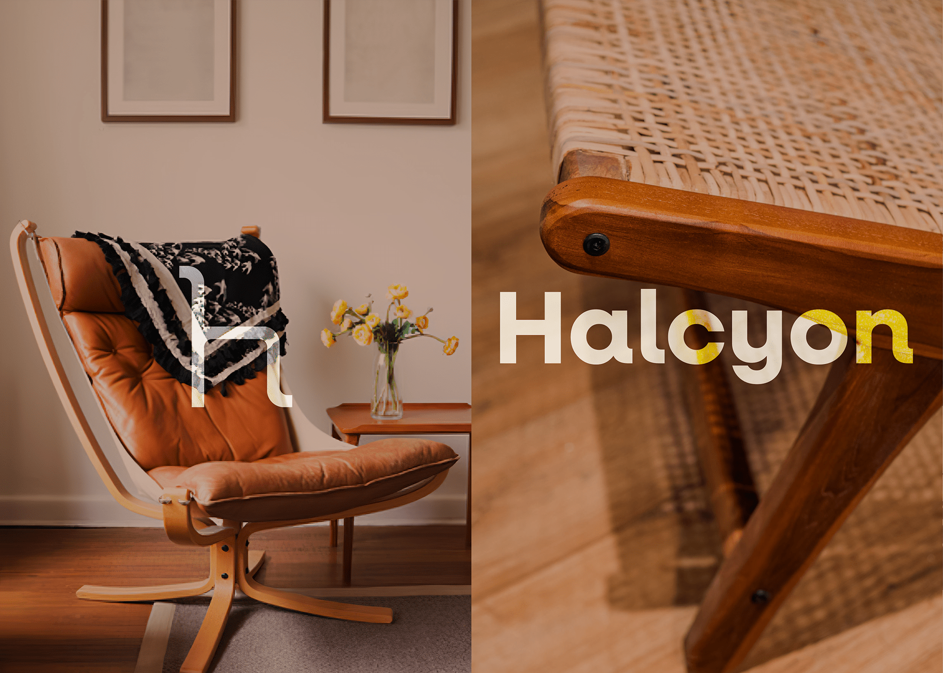 Halcyon - Brand Identity | Behance