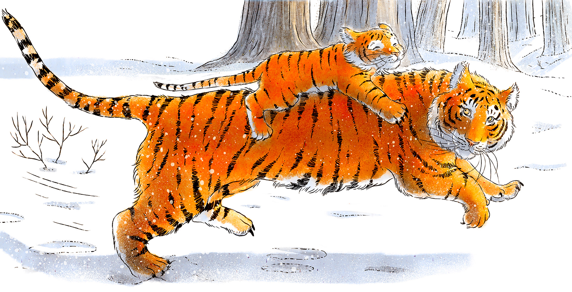 When your dad is a tiger | Behance