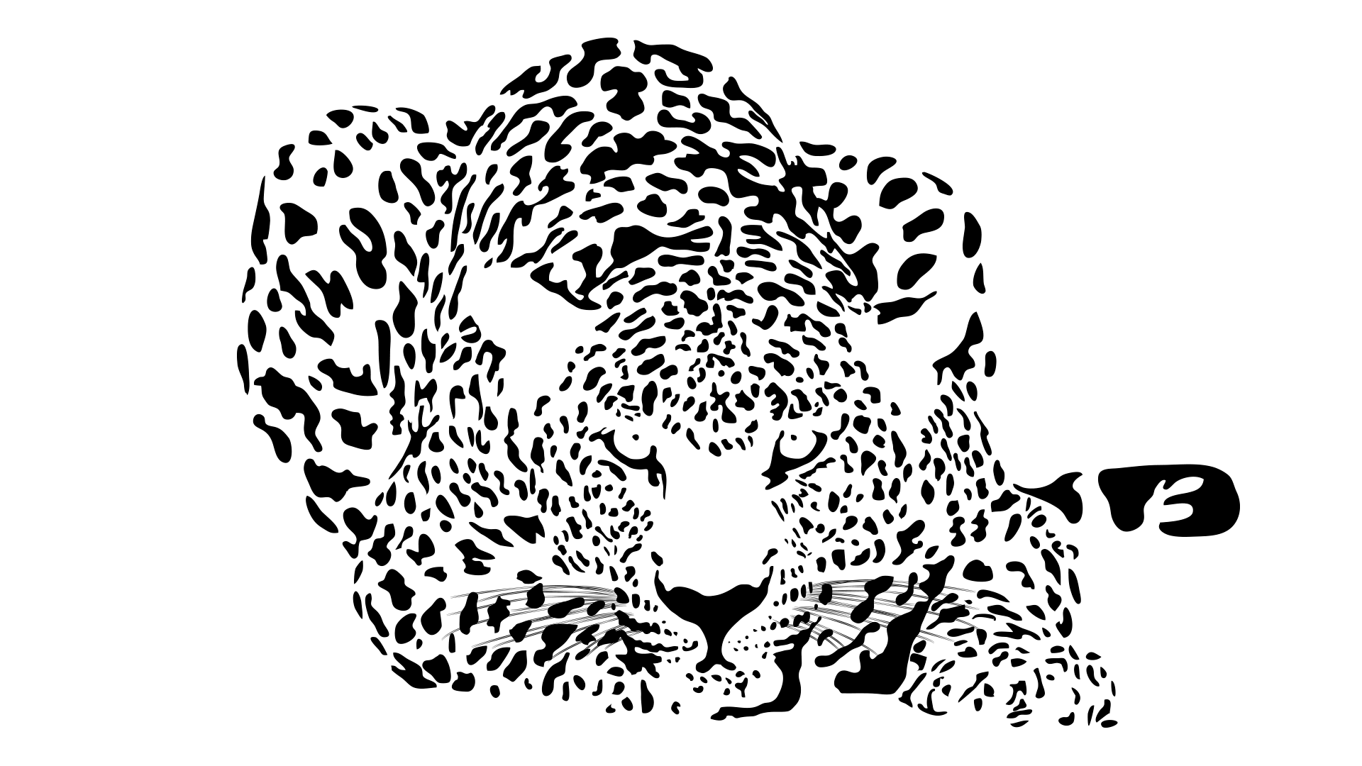 Графика для печати а4. Изображения для плоттера. Трафаретное изображение животных. Леопард трафарет. Леопард черно белый.