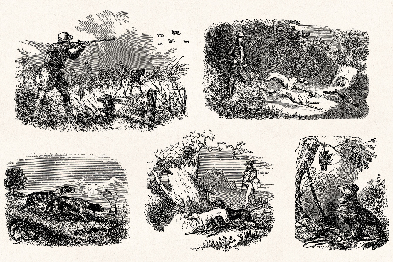 This set contains 77 vintage drawings of hunters, hunting scenes, game anim...