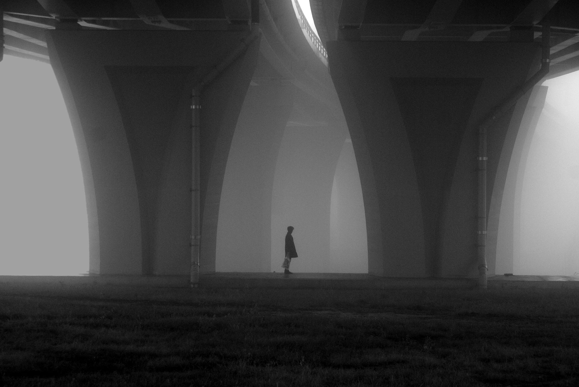 Digital Photography: Bridge in the Fog